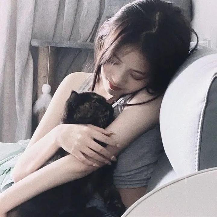 银翼追击 封面