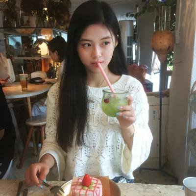 小小迪特想要飞 封面